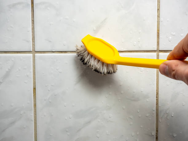 Best Same-Day Mold Removal  in Fredericksburg, TX