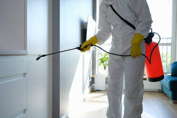 Professional Mold Removal in Fredericksburg, TX