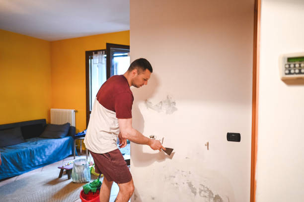 Best Local Mold Removal Service  in Fredericksburg, TX