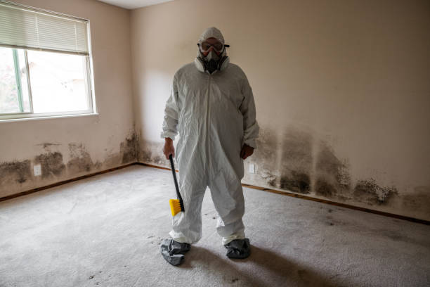 Best Commercial Mold Removal  in Fredericksburg, TX